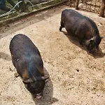 La Chiana Vico Equense