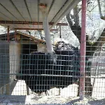La Chiana Séjour à la ferme
