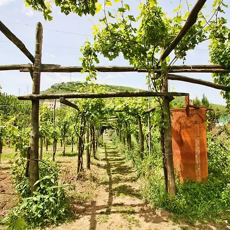 La Chiana Agroturismo Vico Equense
