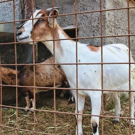 La Chiana Agroturismo Vico Equense