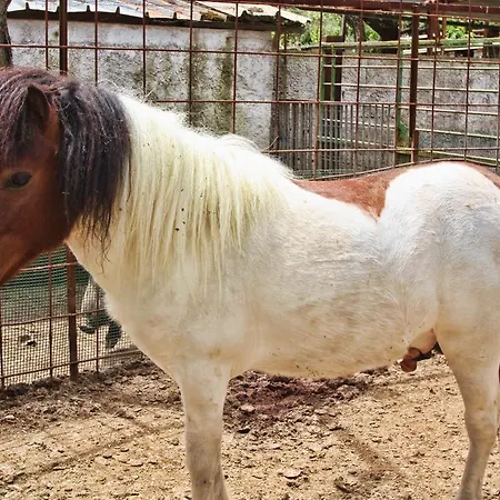 La Chiana * Vico Equense