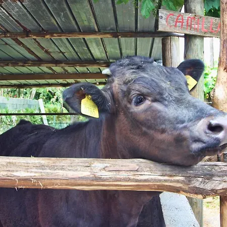 La Chiana Agroturismo Vico Equense