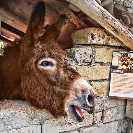 La Chiana Agroturismo *