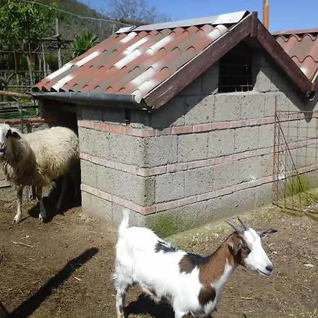 Agroturismo La Chiana Vico Equense