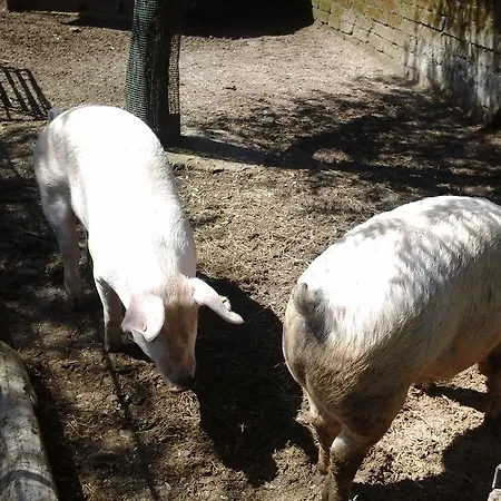 La Chiana Agroturismo Vico Equense