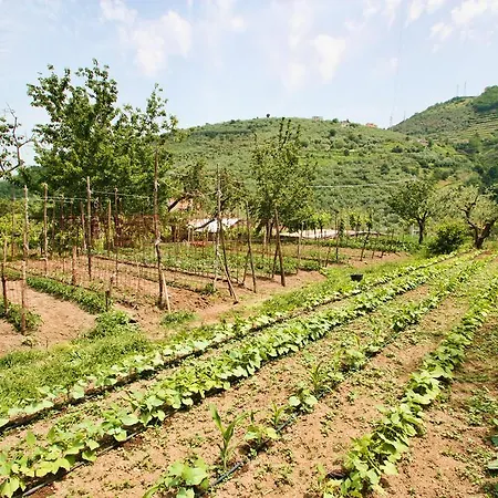 팜스테이 La Chiana